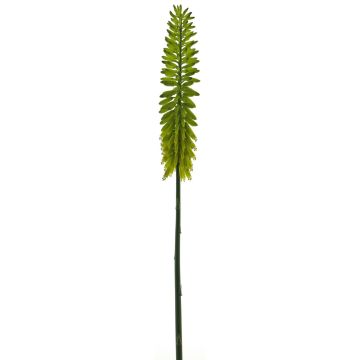 Fleur artificielle Kniphofia QIUMIN, vert, 85cm