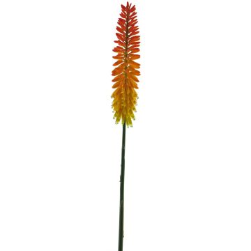 Fleur artificielle Kniphofia QIUMIN, orange, 85cm