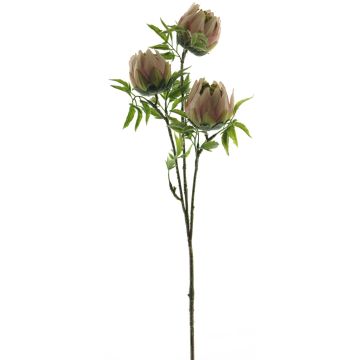 Branche de fleurs artificielles de Protea LIUJIA, rose-vert, 75cm