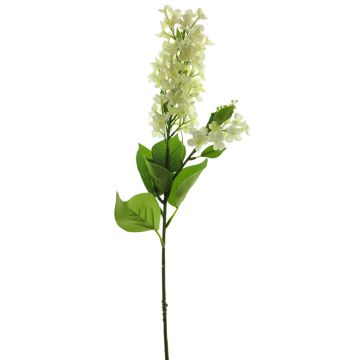 Fleur artificielle lilas NAJUAN, crème, 80cm