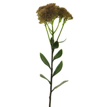 Fleur décorative de grand orpin SHUNFEI, crème-brun, 60cm