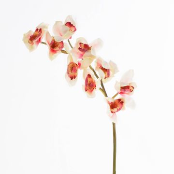 Tige d'orchidée Cymbidium artificielle OKSANA, crème-rose, 80cm, Ø6,5cm