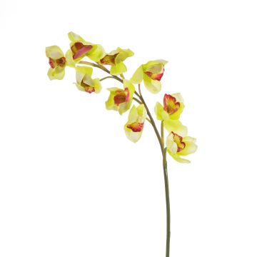 Tige d'orchidée Cymbidium artificielle OKSANA, jaune-vert, 80cm, Ø6,5cm