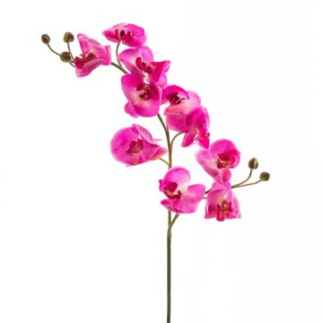 Tige d’orchidée Phalaenopsis en plastique STINA, fuchsia, 90cm, Ø7-9cm