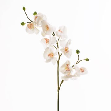 Tige d’orchidée Phalaenopsis en plastique STINA, blanc, 90cm, Ø7-9cm