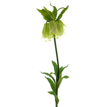 Fleur artificielle couronne impériale YATAO, crème-vert, 120cm