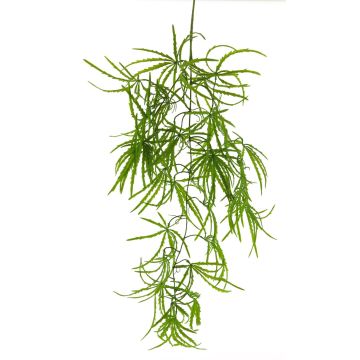 Branche décorative Schefflera elegantissima LINTIAN, vert, 105cm