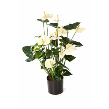Bouquet d’Anthurium artificiel LEVANA, crème, 80cm, 8x10cm