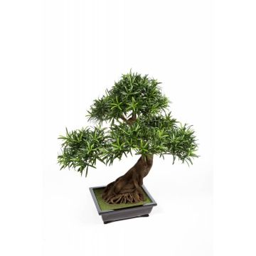 Faux bonsaï podocarpus MASAO, racines, coupe céramique, 85cm