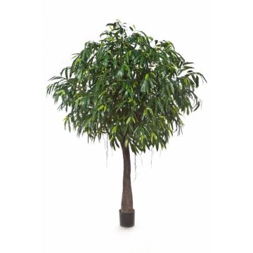Longifolia artificiel CHAMIL, tronc artificiel, vert, 270cm