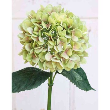 Hortensia artificiel THABEA, vert-rose, 65cm