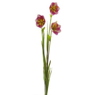 Fleur décorative Campanule WENXIN, fuchsia-vert, 80cm