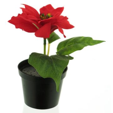 Fleur artificielle poinsettia NUORU en pot décoratif, rouge, 15cm