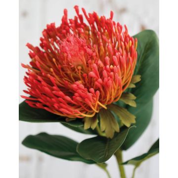 Protea artificielle TANJA, rouge-orange, 65cm