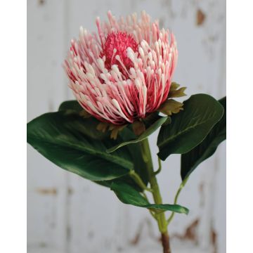 Protea artificielle TANJA, rose-fuchsia, 65 cm
