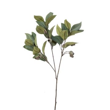 Branche d'eucalyptus décorative VIZIMIR avec des fruits, vert, 80cm Branche d'eucalyptus décorative VIZIMIR avec des fruits, vert, 80cm