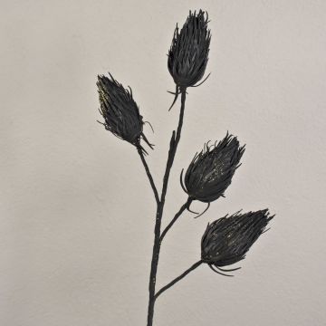 Eryngium en mousse synthétique MISAEL avec des paillettes, noir, 120cm