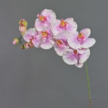 Branche décorative Orchidée Phalaenopsis WESA, rose-blanc, 100cm