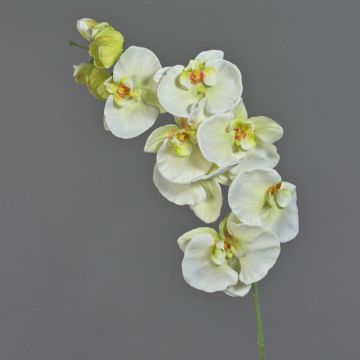 Branche décorative Orchidée Phalaenopsis WESA, blanc-vert, 100cm
