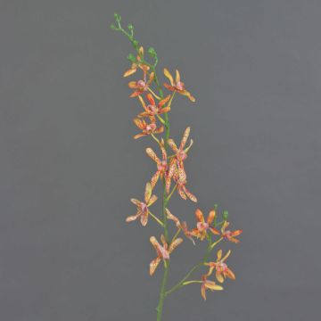 Branche artificielle Orchidée Cattleya TRASSA, orange-jaune, 80cm