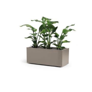 Bac à fleurs rectangulaire NASTASJA en plastique recyclé, avec réserve d'eau, roulettes, taupe, 99,5x39,5x38cm, 102L