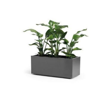 Bac à fleurs rectangulaire NASTASJA en plastique recyclé, avec réserve d'eau, roulettes, anthracite, 99,5x39,5x38cm, 102L