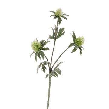 Eryngium artificiel SVEA, vert, 40cm, Ø2-3cm