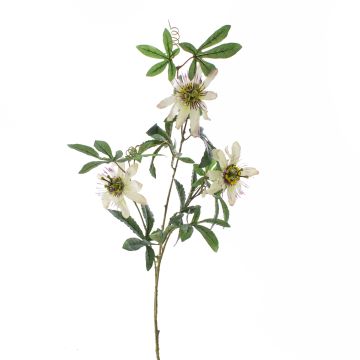 Fausse Passiflore SHARI, blanc-lilas, 100cm, Ø9-11cm