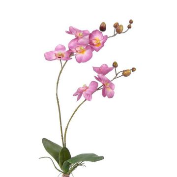 Orchidée Phalaenopsis en tissu NAARA sur piquet, rose, 75cm, Ø6-8cm