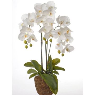 Orchidée en tissu SATRIA en motte de terre, blanc, 75cm, Ø7-8cm