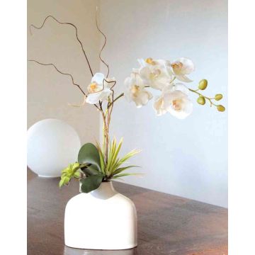 Orchidée Phalaenopsis artificielle TIALDA, succulentes, vase en céramique, blanc, 50cm