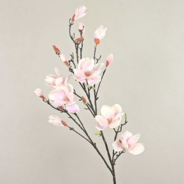 Branche de magnolia artificielle YONA, blanc-rose, 130cm