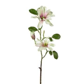 Branche de fleurs artificielles Magnolia étoilé BLOVI, vert clair, 60cm