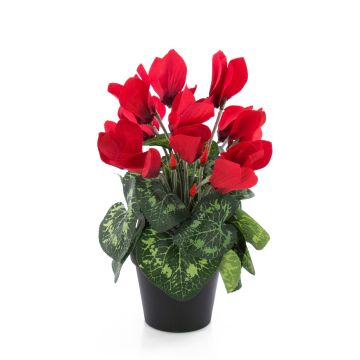 Cyclamen artificiel HEIDI, pot décoratif, rouge, 25cm, Ø5-8cm