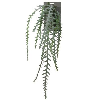 Suspension de cactus épiphyllum artificielle OHNA, vert, 90cm