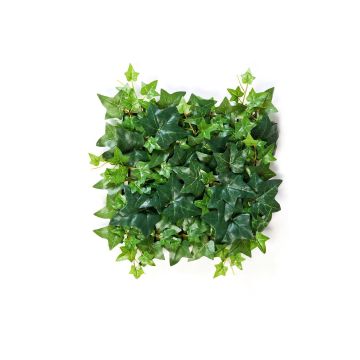Plaque de lierre en plastique LUKA, vert, 30x30cm