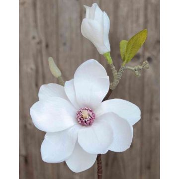 Magnolia en tissu FFEMI, blanc, 35cm, Ø12cm