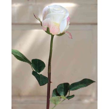 Rose artificielle SAPINA, crème-abricot, 60cm, Ø6cm
