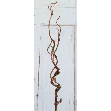 Branche de saule artificielle TONY, brun, 75cm