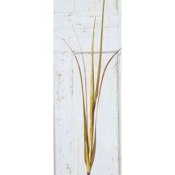 Branche d'herbe de la pampa artificielle ILYAS, vert-brun, 120cm