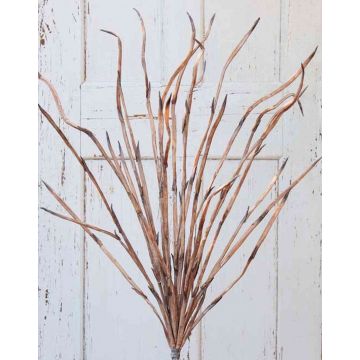 Branche de roseau artificiel MIRON, brun, 120cm