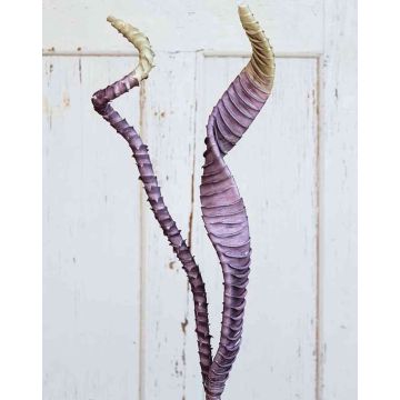 Feuilles d'Aloe aristata artificielles EMILIUS, violet-vert, 95cm