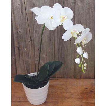 Orchidée Phalaenopsis artificielle SAHRA, en pot, blanc, 70cm