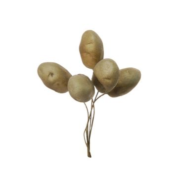 Légumes décoratifs Pomme de terre THAO, 6 pièces, brun, 12cm