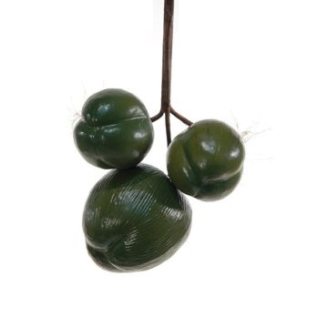 Fruit décoratif Noix de coco TIHANA, 3 pièces, vert, 12cm