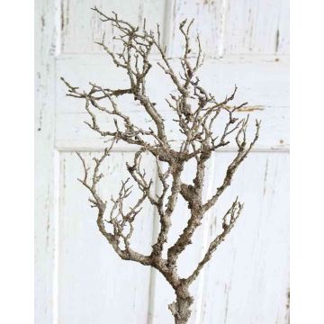Branche artificielle poirier JOHNNY, beige-gris, 120cm