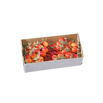 Fruit décoratif Cynorrhodon ZENNY, 36 pièces, rouge-orange, 2cm