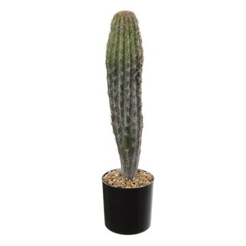 Cactus de San Pedro artificiel DENIZ, vert, 40cm