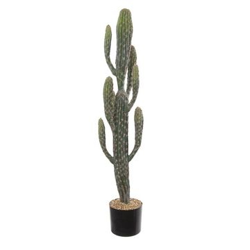 Cactus de San Pedro artificiel DENIZ, vert, 100cm