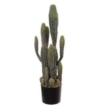 Cactus de San Pedro artificiel DENIZ, vert, 80cm